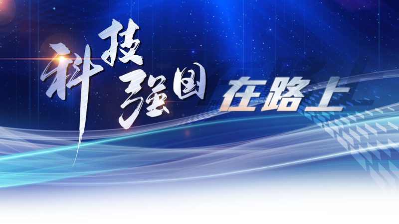 数据湖与数据仓库：核心差异深度解析